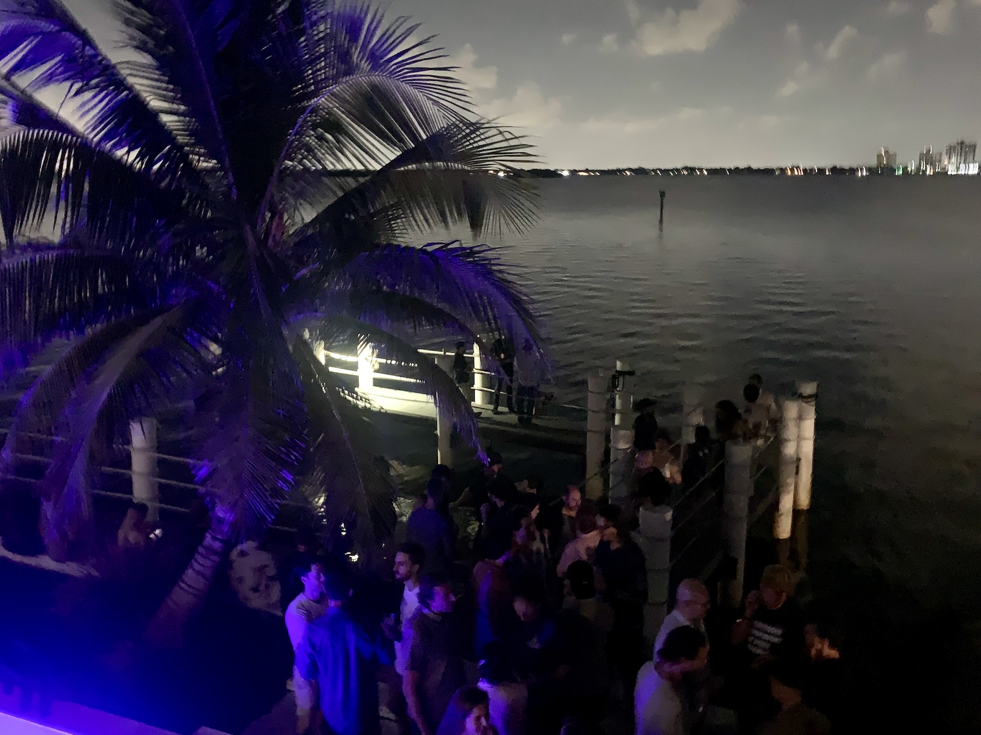 a nighttime beach scene featuring people partying on a dock below a palm tree, overlooking the ocean, with blue light emanating from the bottom left corner of the image